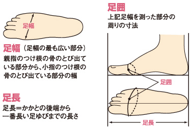 測るのはこの箇所：足幅、足囲、足長