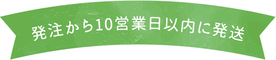 発注から10営業日以内に発送